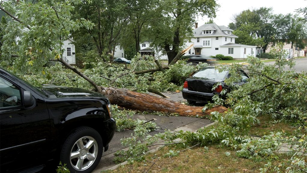 Storm Damage | September Weather