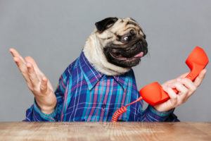 Confused By Insurance Terms? | Auto...